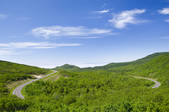 tkf003_108284