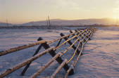 tkf003_110447