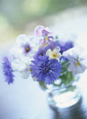 tkf003_110498