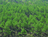 tkf003_111843