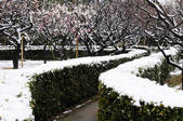 tkf003_112510