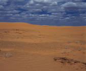 tkf003_114059