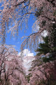 tkf003_114422