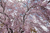 tkf003_114675
