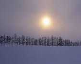 tkf003_118353