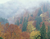 tkf003_125913