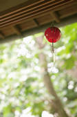 tkf003_126800