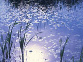 tkf003_128060