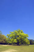 tkf003_129423