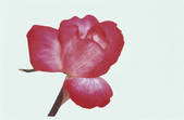 tkf003_131066