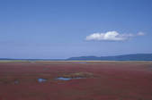 tkf003_131728