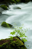 tkf003_132029