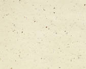 tkf003_134172