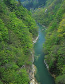 tkf003_134253