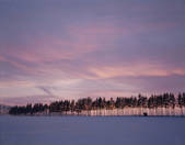 tkf003_134979