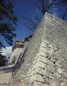 tkf003_135040