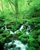 tkf003_135904