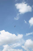 tkf003_139087
