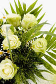 tkf001_680335