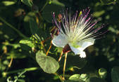 tkf001_698946