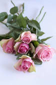 tkf001_709526