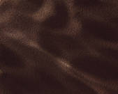 tkf001_713882