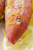 tkf001_720877