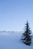 tkf001_885753