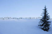 tkf001_885754