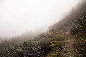 tkf001_895710