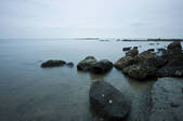 tkf001_905810