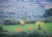 tkf003_140241
