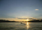 tkf003_141228