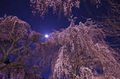 tkf003_141658