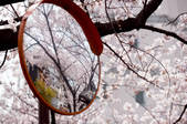 tkf003_145981