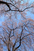 tkf003_149048