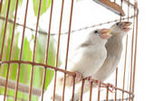 tkf003_149671