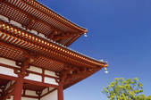 tkf003_163524