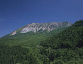 tkf003_163595