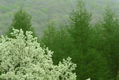 tkf003_164582