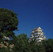 tkf003_165658