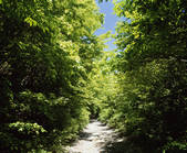 tkf003_170590
