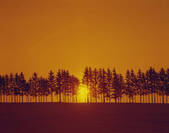 tkf003_172549