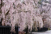 tkf003_175883