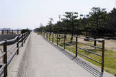 tkf003_176689