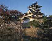 tkf003_176989