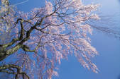 tkf003_177744