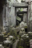 tkf003_226445