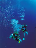 tkf003_255108