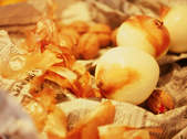 tkf003_262208